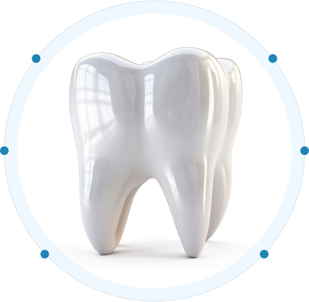 Tooth model used for dental diagnosis and treatment awareness in Lucknow